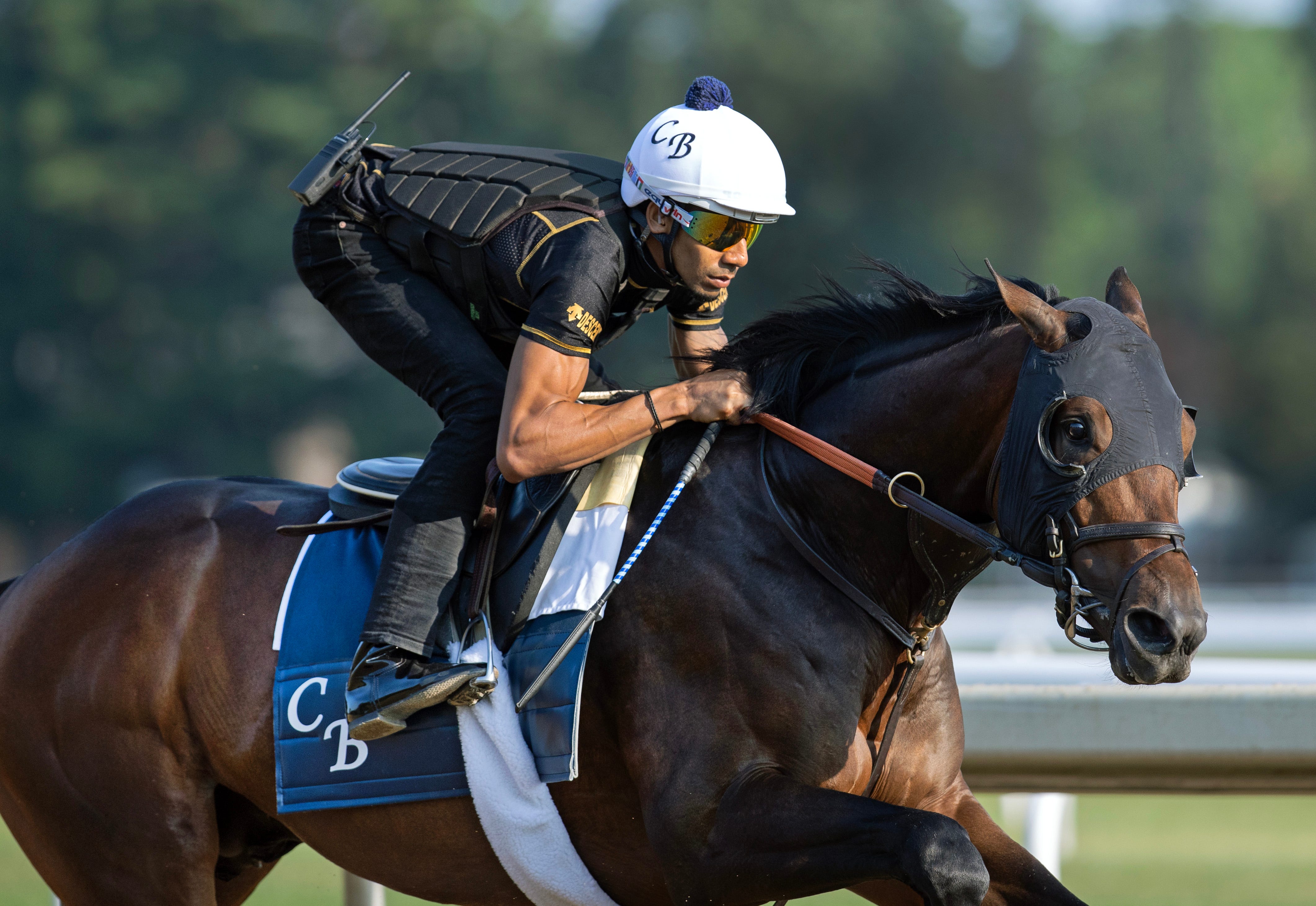 Sierra Leone works halfmile for Jim Dandy Stakes